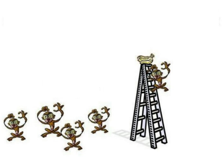 Cartoon of the '5 Monkeys and a Ladder' experiment